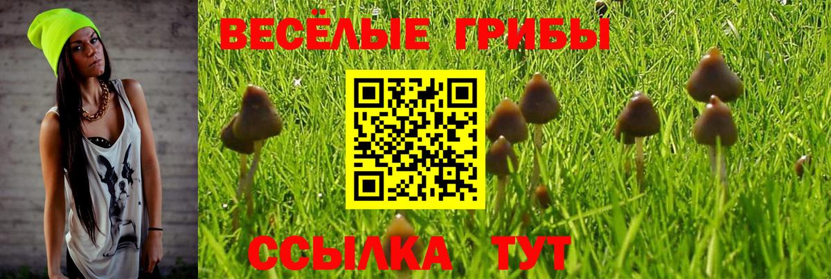 Конаково  Псилоцибиновые грибы MAGIC MUSHROOMS  Вход с VPN 