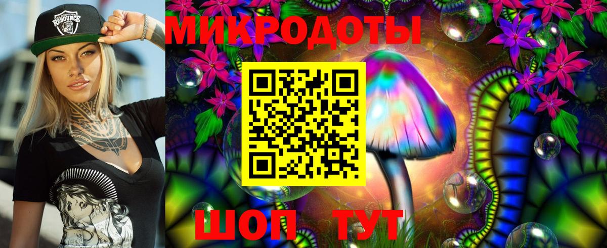 Псилоцибиновые грибы мухоморы Конаково